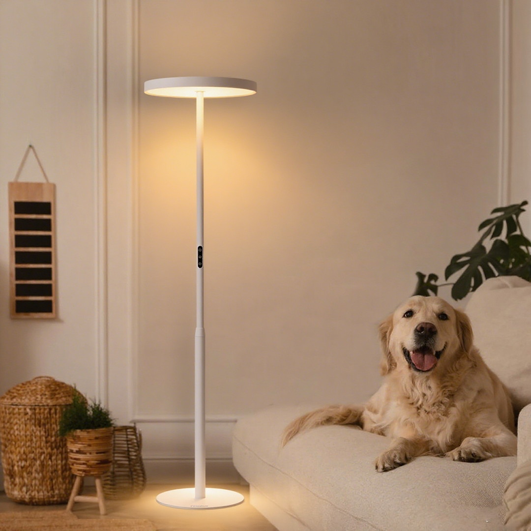 PalFish EnsoGlow Pure Light Floor Lamp
