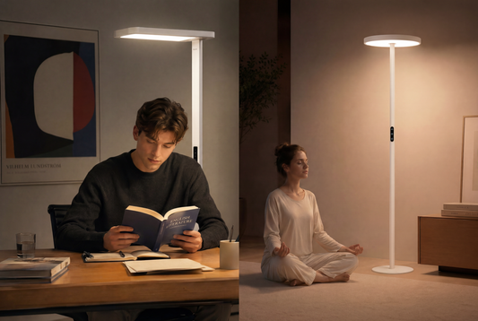 Reading Light vs Ambient Light: What Do You Really Need for Your Modern Home?
