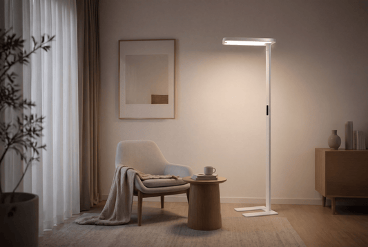 How to Choose the Perfect Floor Lamp for Your Living Room: A Complete Ergonomic Lighting Guide - PalFish