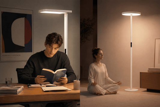 Reading Light vs Ambient Light: What Do You Really Need for Your Modern Home? - PalFish