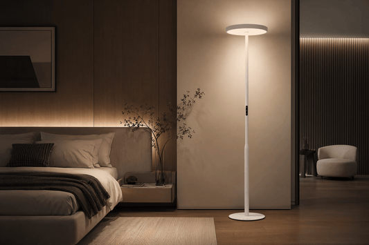 Understanding Lighting Psychology in Interior Design and Its Impact on Your Room's Aesthetic - PalFish