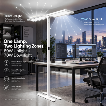 PalFish Lumora DualVision Smart Floor Lamp