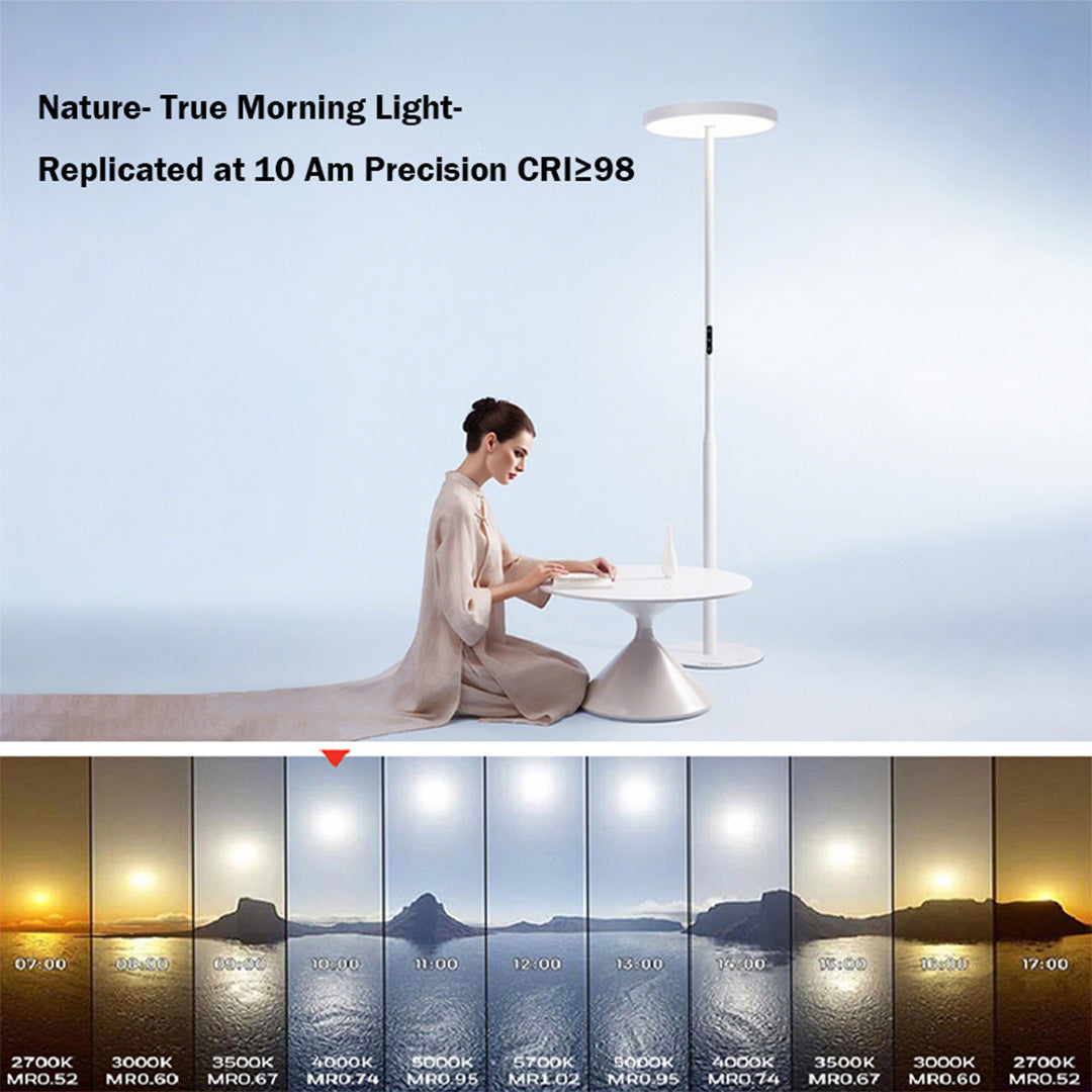 EnsoGlow Natural 10AM Daylight Floor Lamp - PalFish