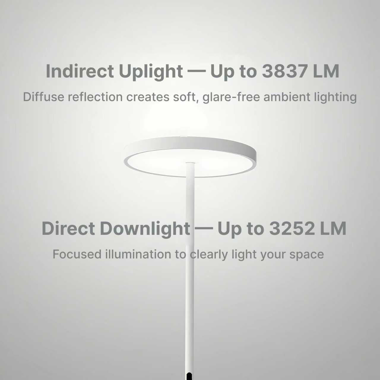EnsoGlow Natural 10AM Daylight Floor Lamp - PalFish