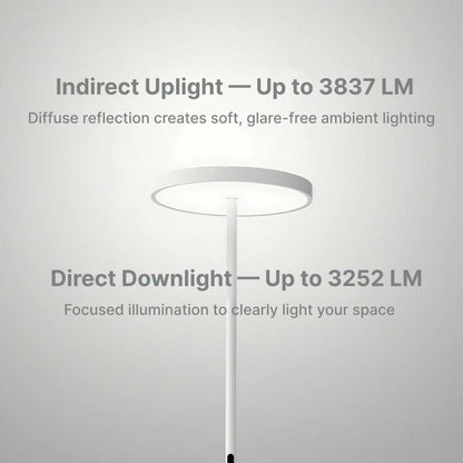 EnsoGlow Natural 10AM Daylight Floor Lamp - PalFish