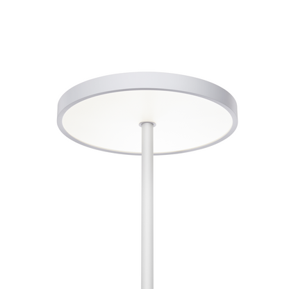 EnsoGlow Natural 10AM Daylight Floor Lamp - PalFish