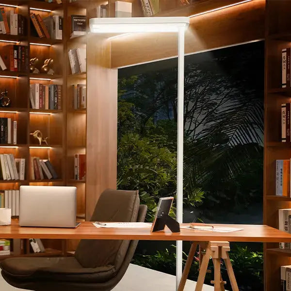 Office Floor Lamp - PalFish