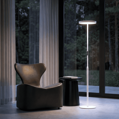 EnsoGlow Natural 10AM Daylight Floor Lamp - PalFish