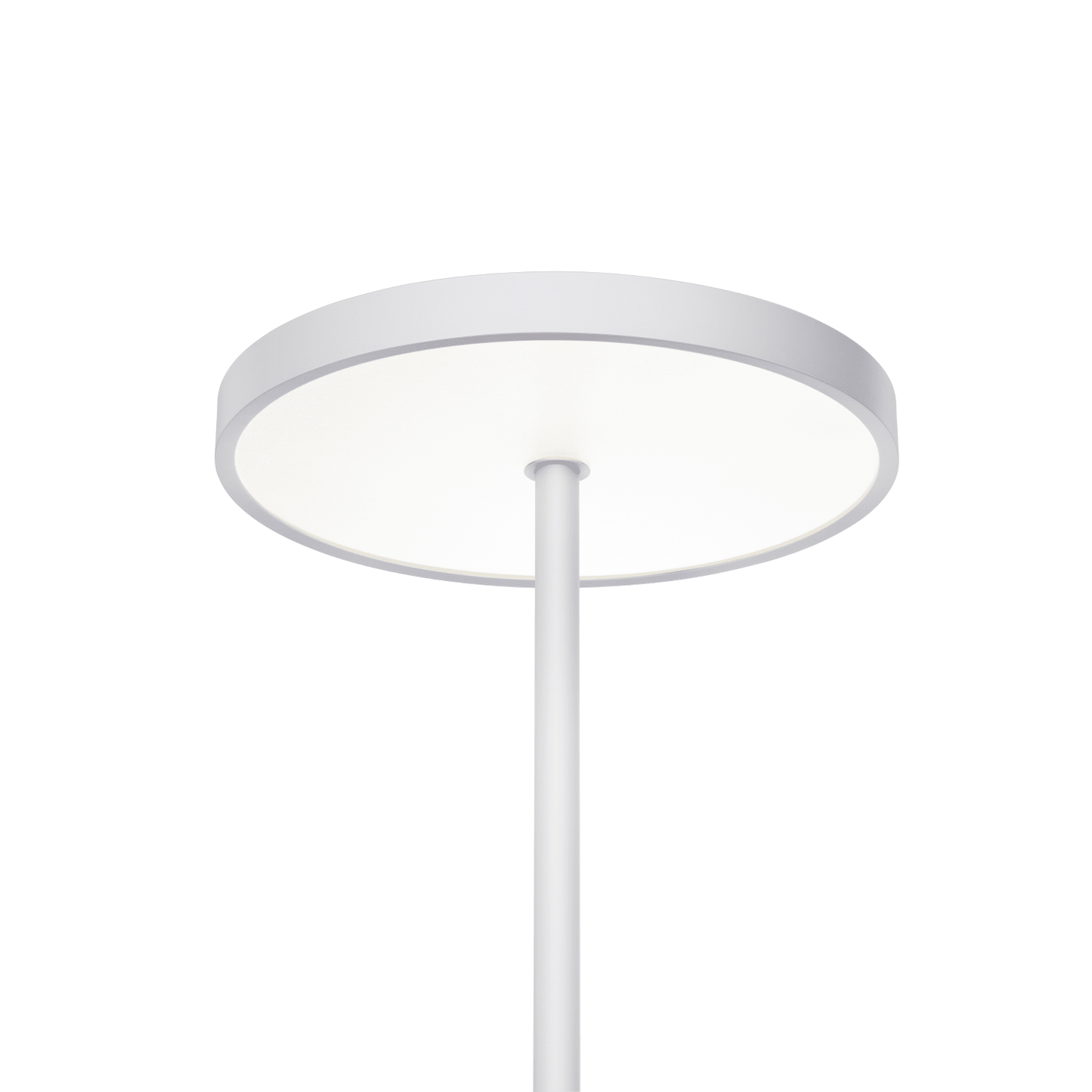 EnsoGlow Natural 10AM Daylight Floor Lamp - PalFish