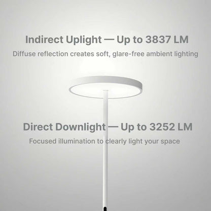 EnsoGlow Natural 10AM Daylight Floor Lamp - PalFish