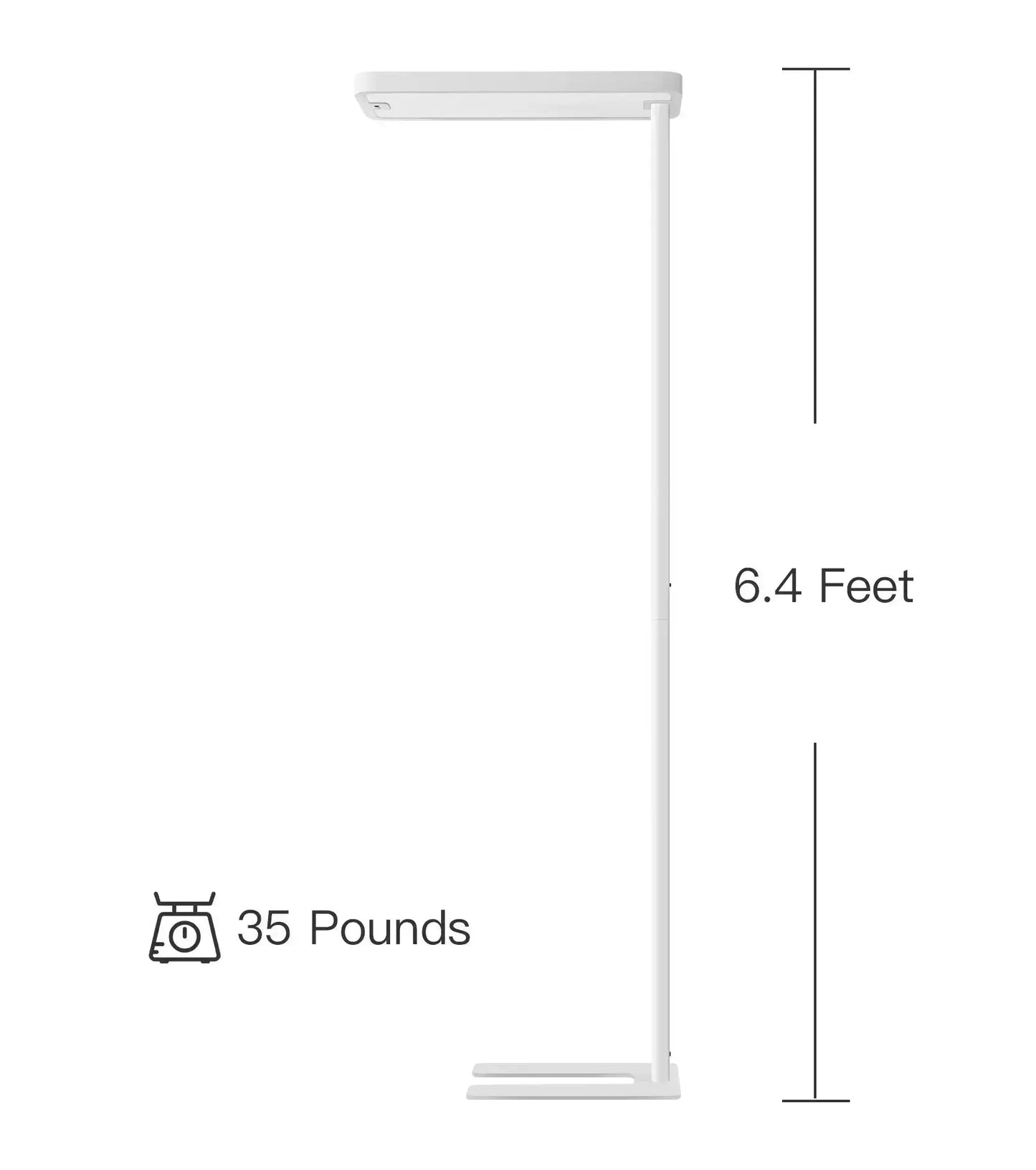Smart Motion Sensor Pure Light Floor Lamp - PalFish